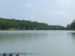 Etang Diebling