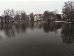 Teich im Brettschneiderpark