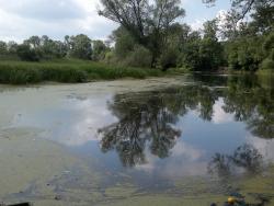 Altes Wasser Priorau
