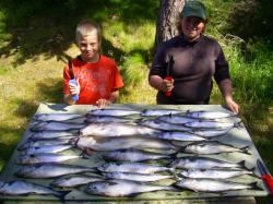 Sonstige: Norwegen-Fische